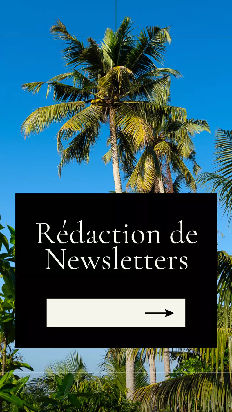 Rédaction newsletter, posts réseaux sociaux - Esther CILLERO - Rédactrice web