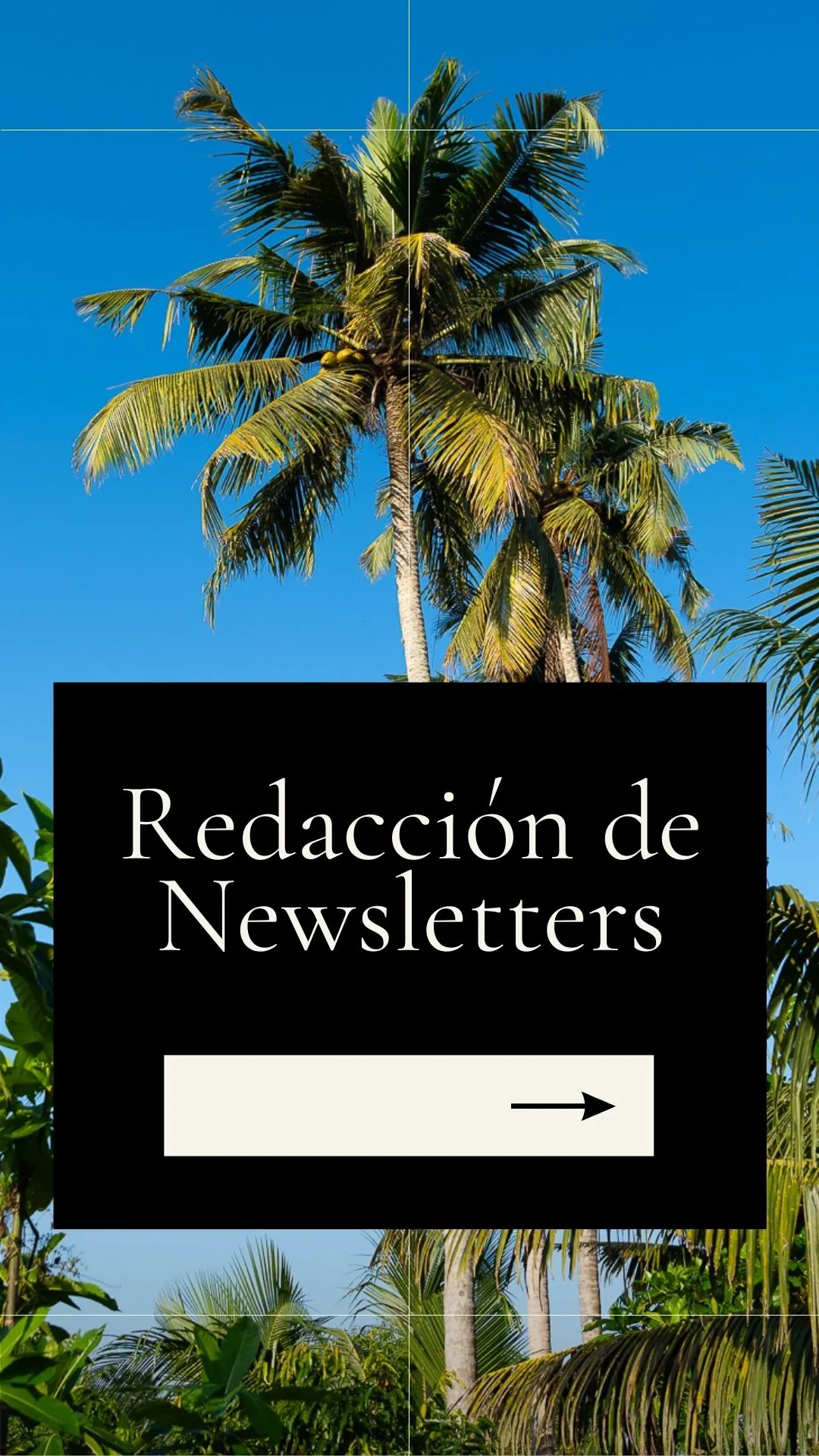 Redacción Web Newsletters Bilingüe - Esther Cillero Redactora Profesional